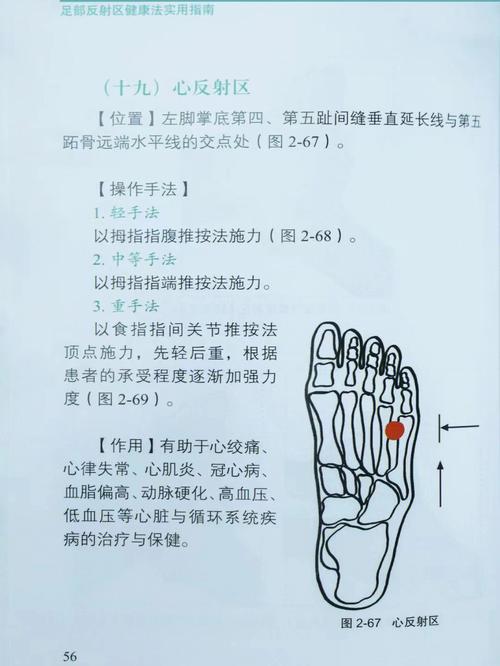 足部反射区健康法实用指南_近红外光谱解析实用指南_