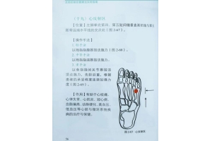 暗区突围辅助实用指南：功能用法及注意事项全解析（足部反射区健康法实用指南）